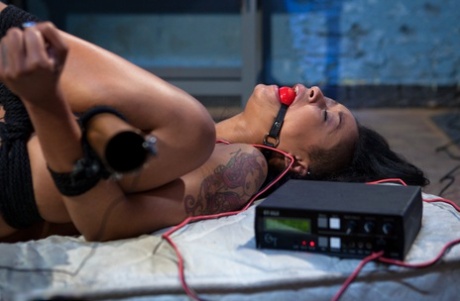 Skin Diamond erotic pornstar archive